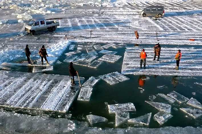 哈爾濱冬季采冰(bing) 采冰工具