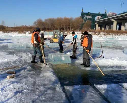 哈爾(er)濱冬季(jì)采冰 采(cǎi)冰工具(ju)
